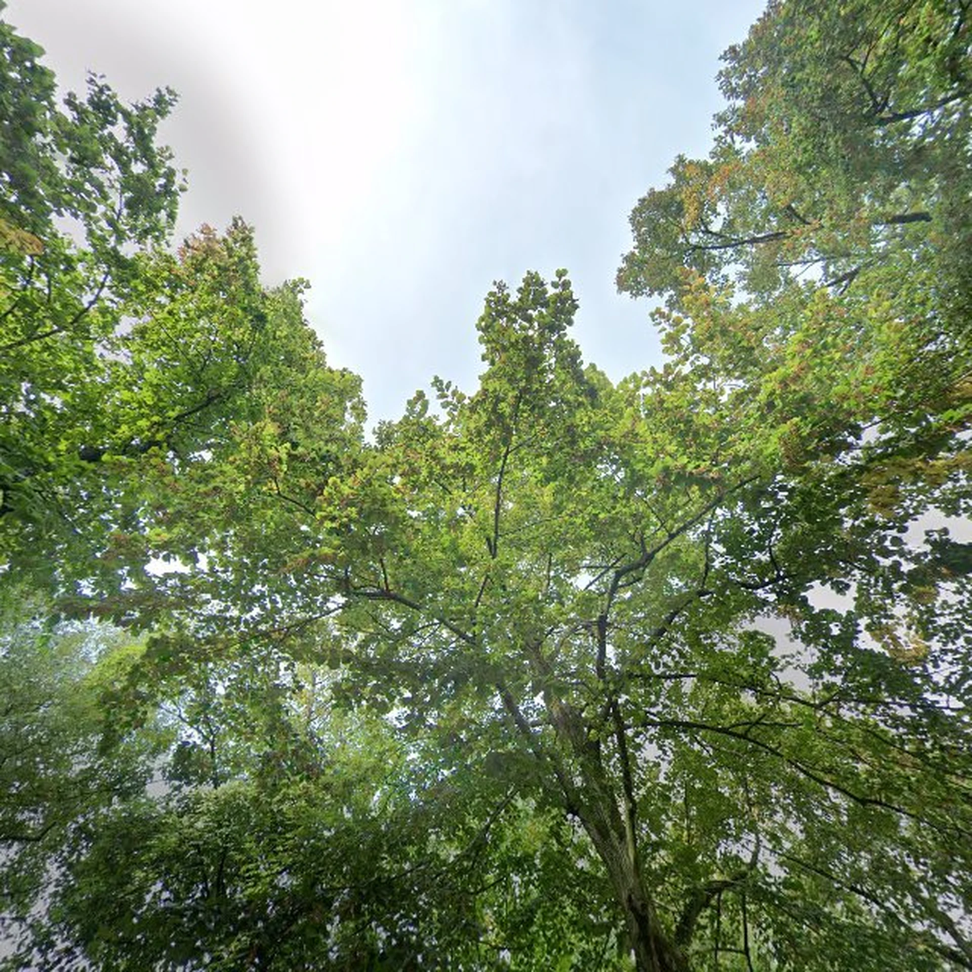 Kringloopwinkel Kringloopwinkel Reusel in Reusel