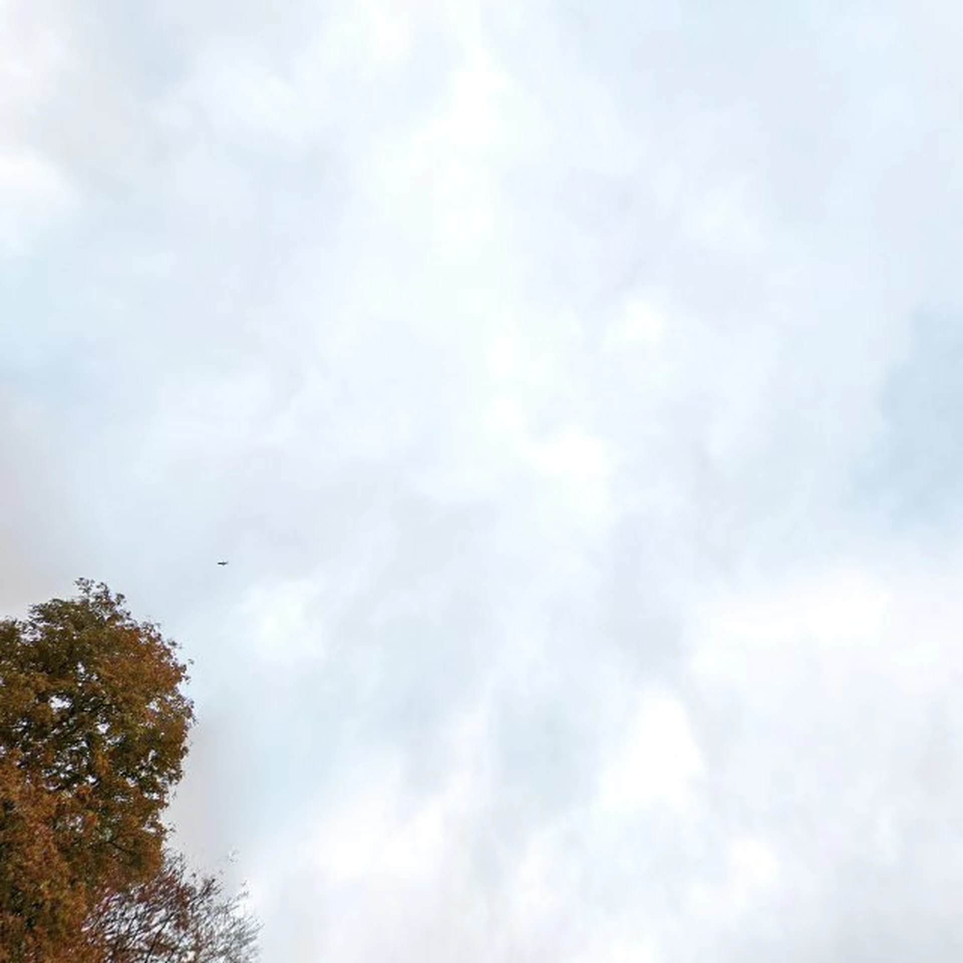 Kringloopwinkel Kringloopwinkel Rien van Beek in Waalwijk