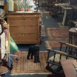 Bezoeker foto van Kringloopwinkel Rotterdam in Rotterdam