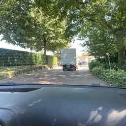 Bestuurderszicht op een straatweg met een vrachtwagen vooruit en bomen aan beide zijden