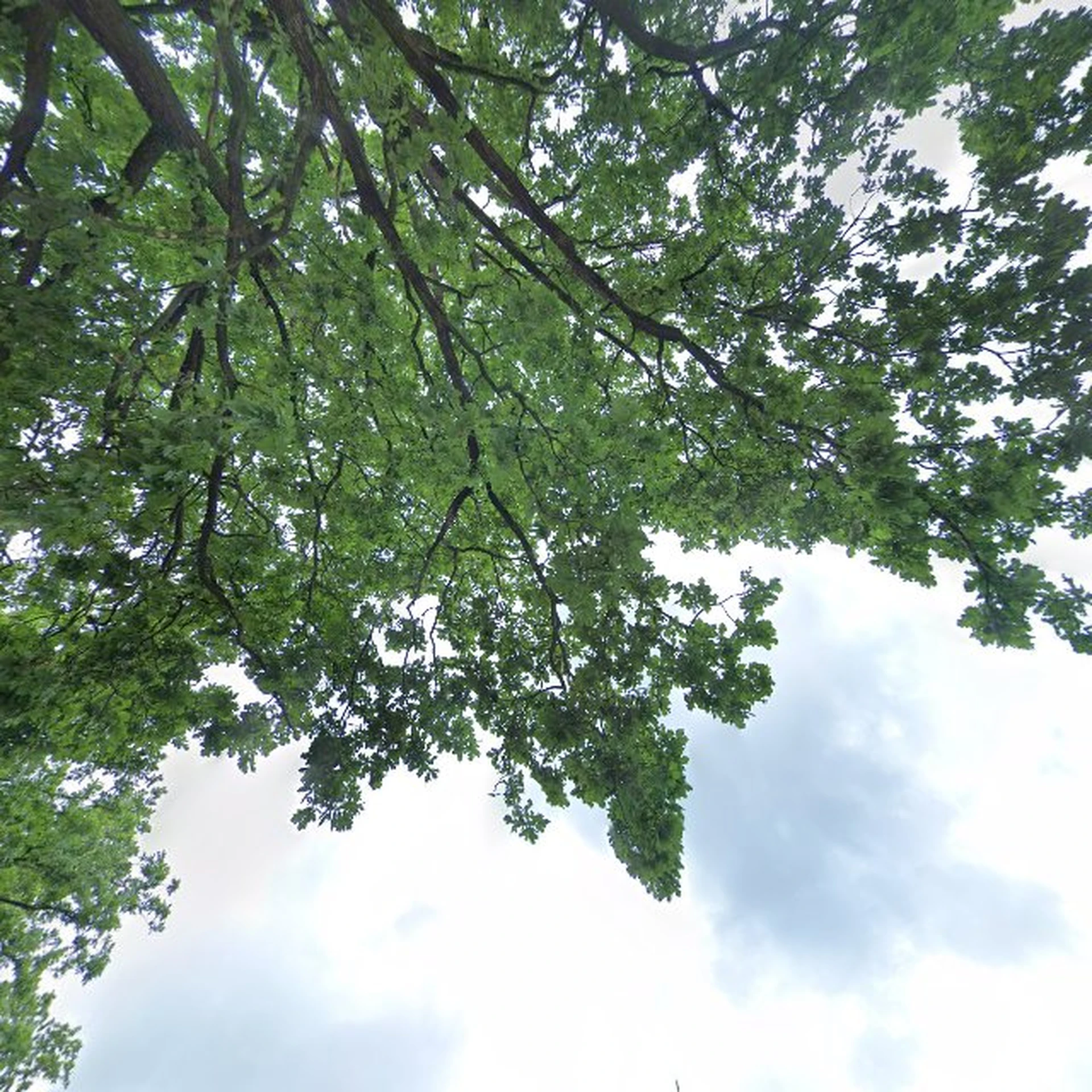 Kringloopwinkel Kringloopwinkel Stadskanaal in Stadskanaal