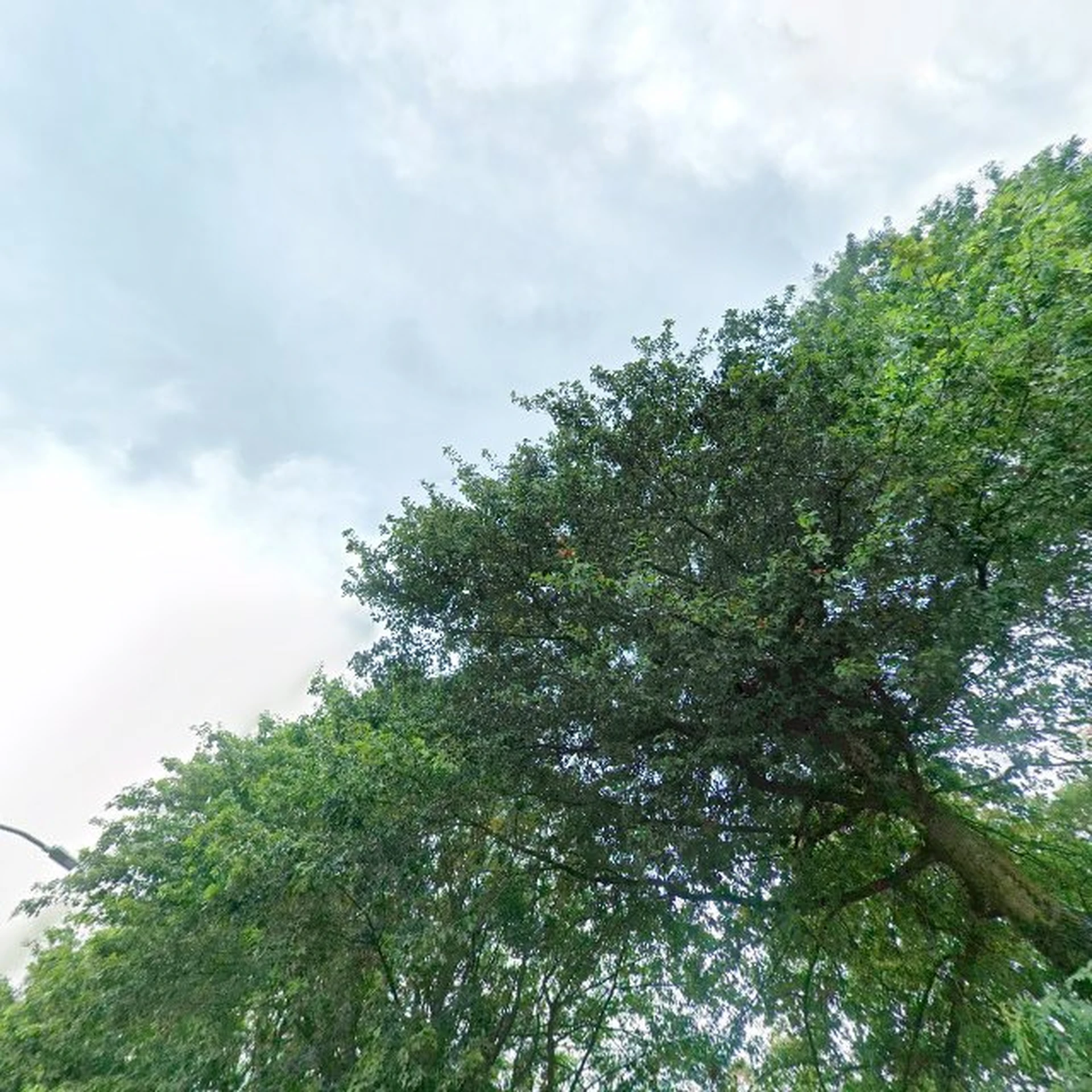 Kringloopwinkel Kringloopwinkel 't Hergebruikertje in Lichtenvoorde