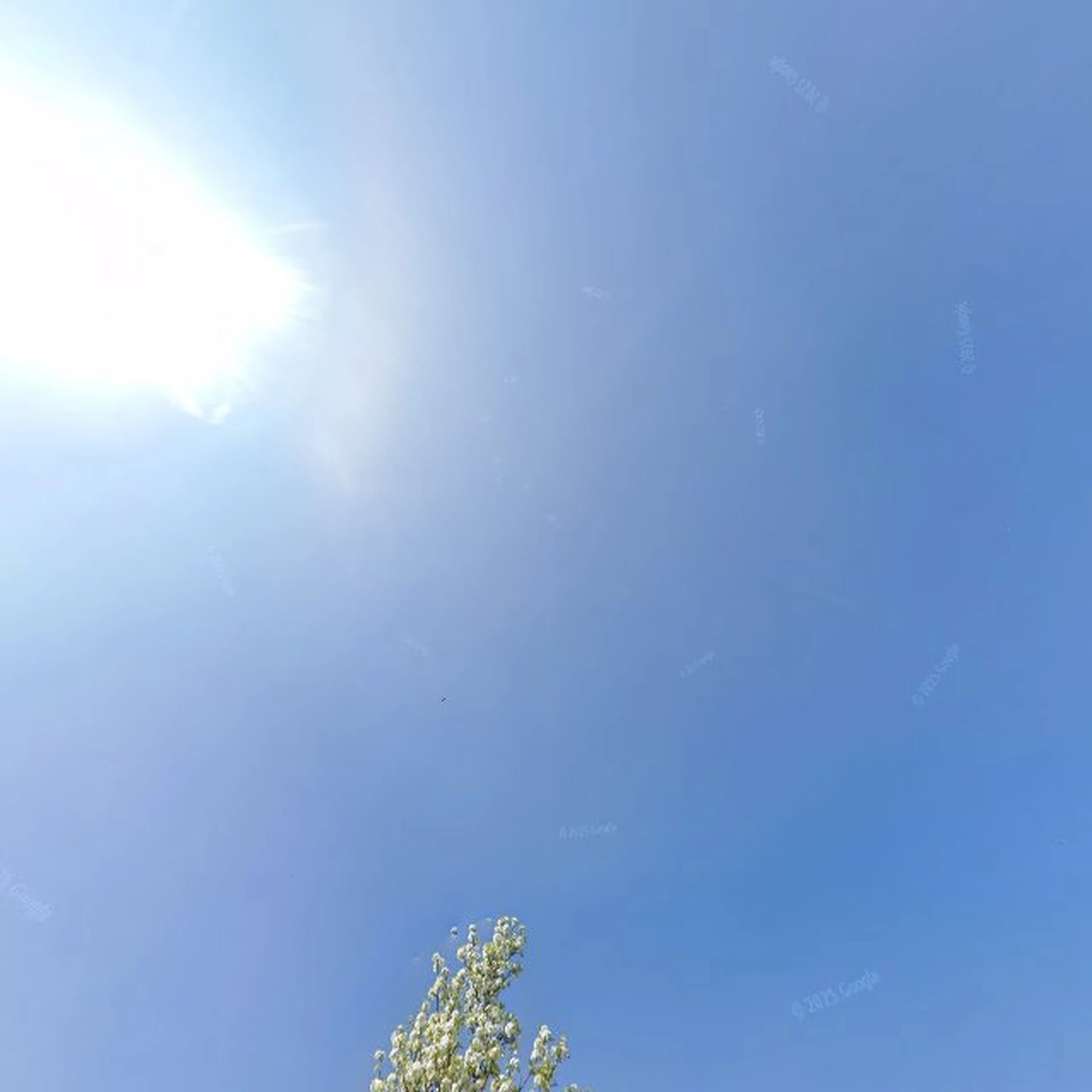 Kringloopwinkel Kringloopwinkel 't Koopje in Breezand