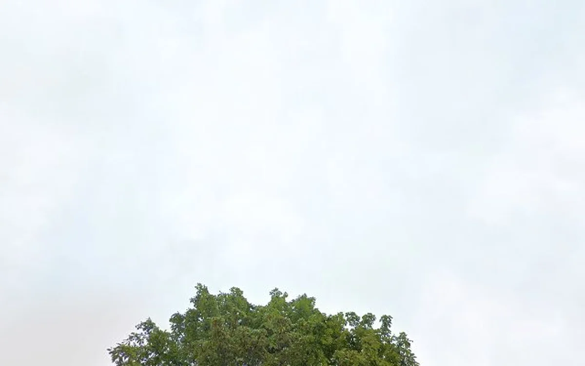 Kringloopwinkel Kringloopwinkel 't Merthoes Horst in Sevenum