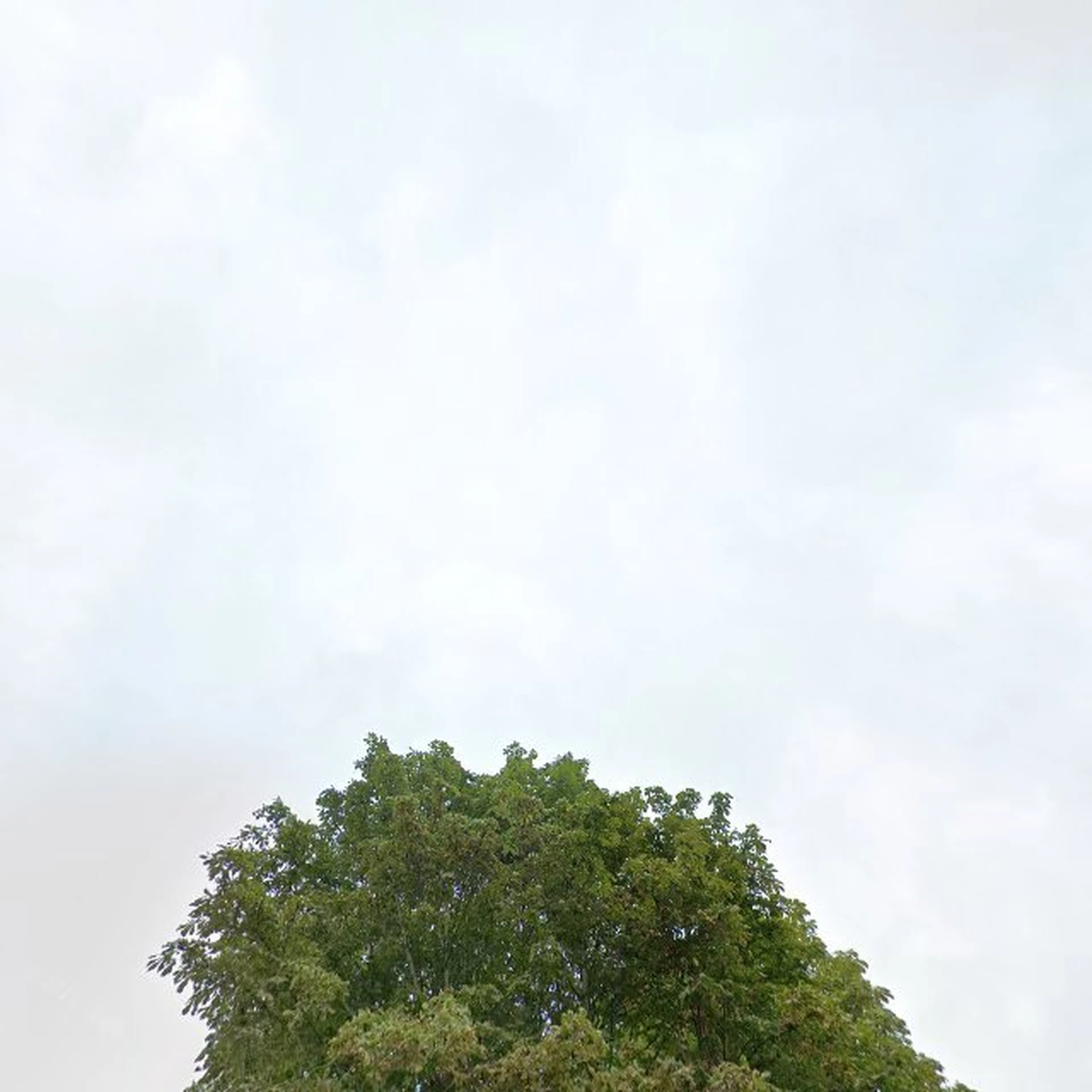 Kringloopwinkel Kringloopwinkel 't Merthoes Horst in Sevenum