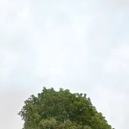 Kringloopwinkel Kringloopwinkel 't Merthoes Horst in Sevenum