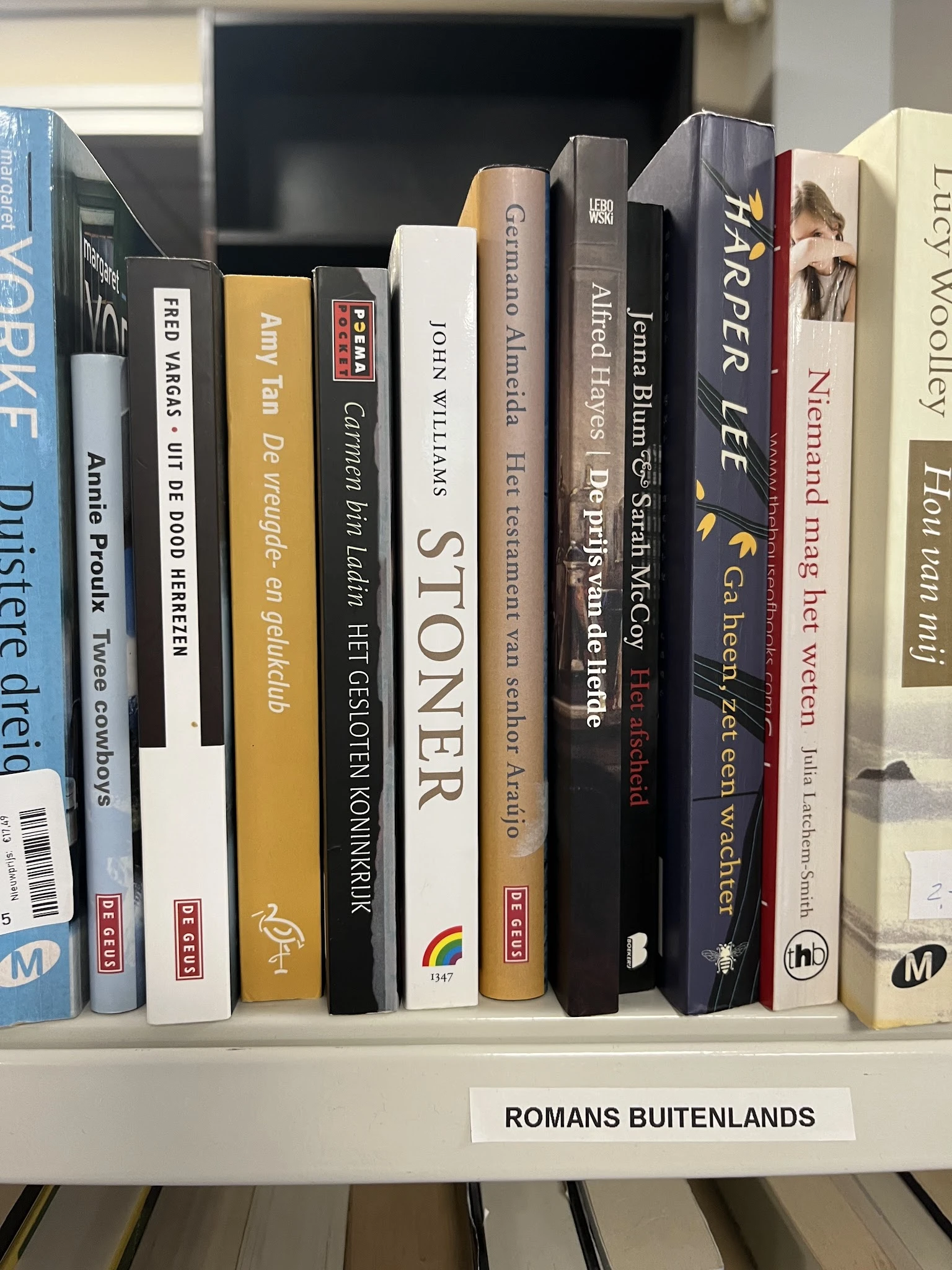 Rij van tweedehands boeken op een schap, verschillende titels en kleuren zichtbaar