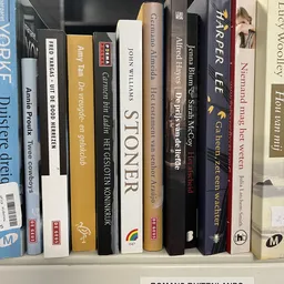Rij van tweedehands boeken op een schap, verschillende titels en kleuren zichtbaar