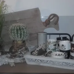 Displaytafel met cactussen, decoratieve objecten en bekers met teksten