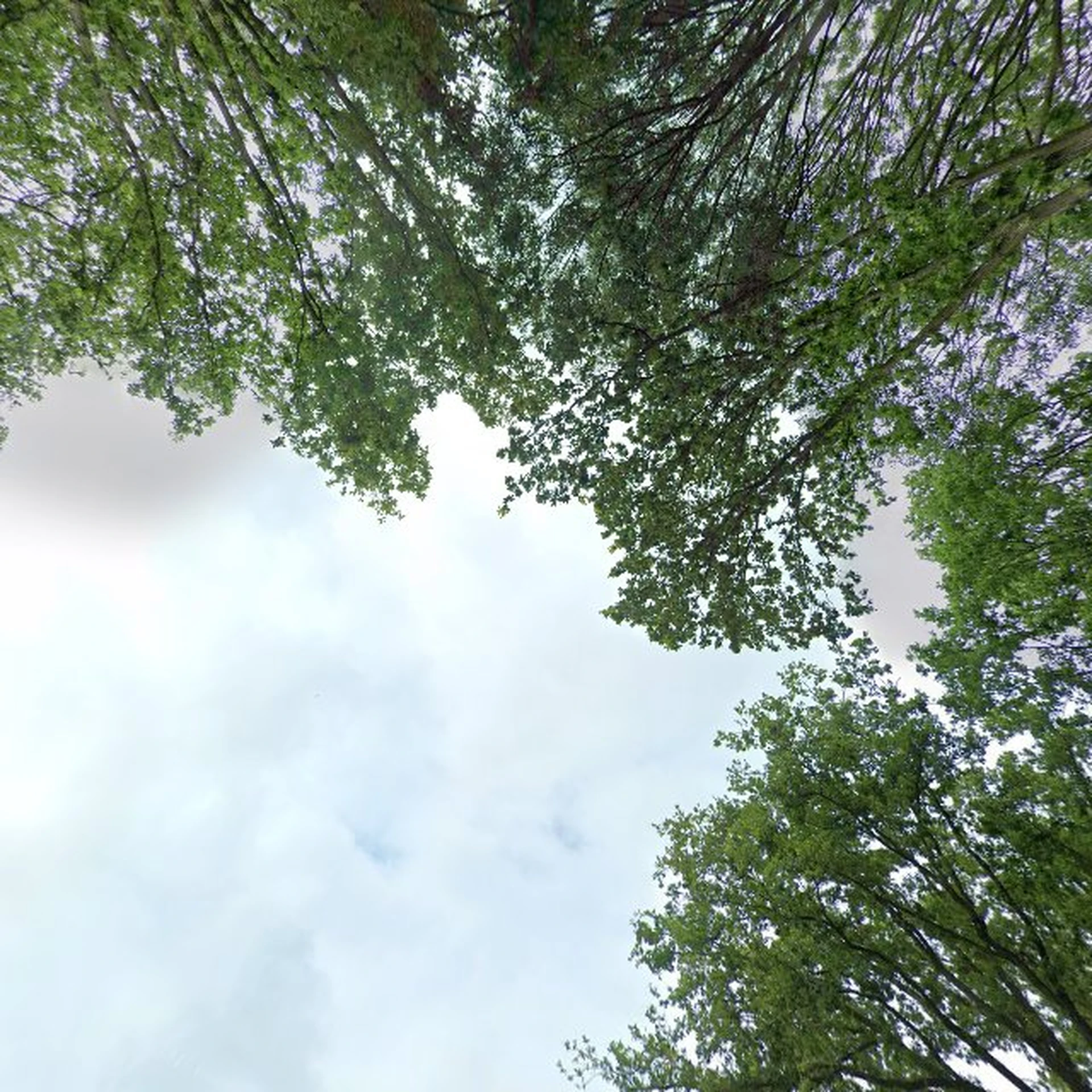 Kringloopwinkel Kringloopwinkel Ter Apel in Ter Apel