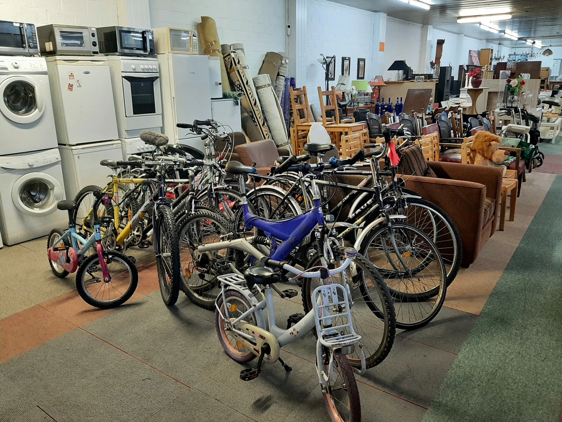Verzameling tweedehands fietsen en kinderfietsjes te koop in de kringloopwinkel