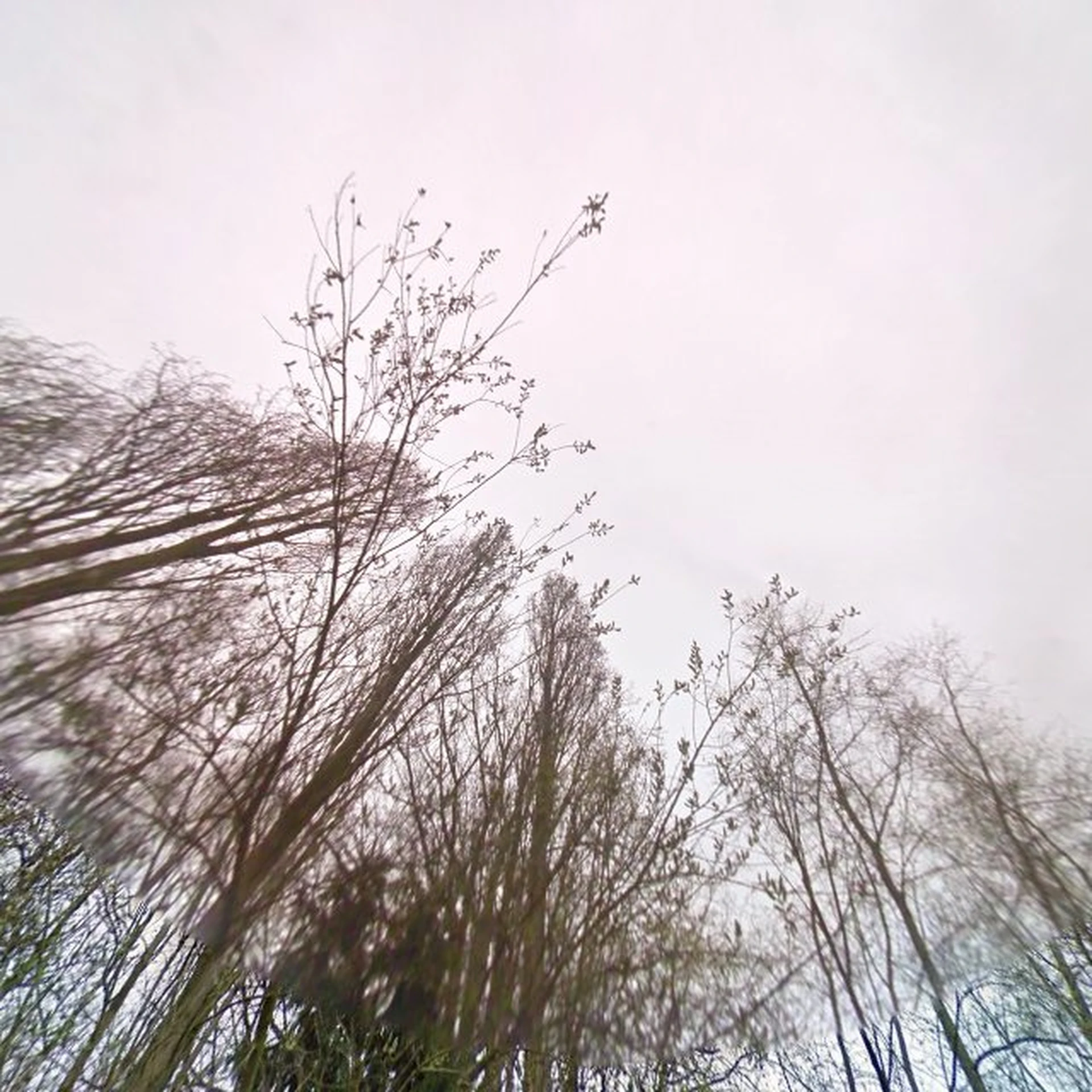 Kringloopwinkel Kringloopwinkel Verko Wetteren in Wetteren