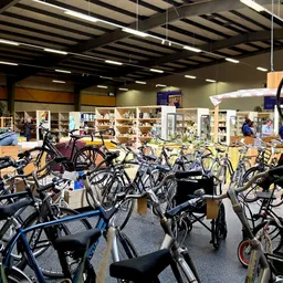 Groot assortiment tweedehands fietsen van verschillende merken en kleuren in de winkel