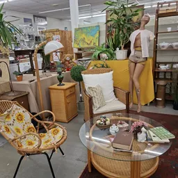 Vintage winkelinterieur met meubelstukken, planten, decoratie en een etalagepop in gele jurk