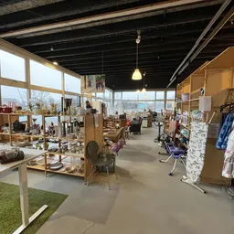 Ruim winkelinterieur met houten stellingen, kledingrekken, huishoudelijke spullen en een groen vloergedeelte, grote ramen met