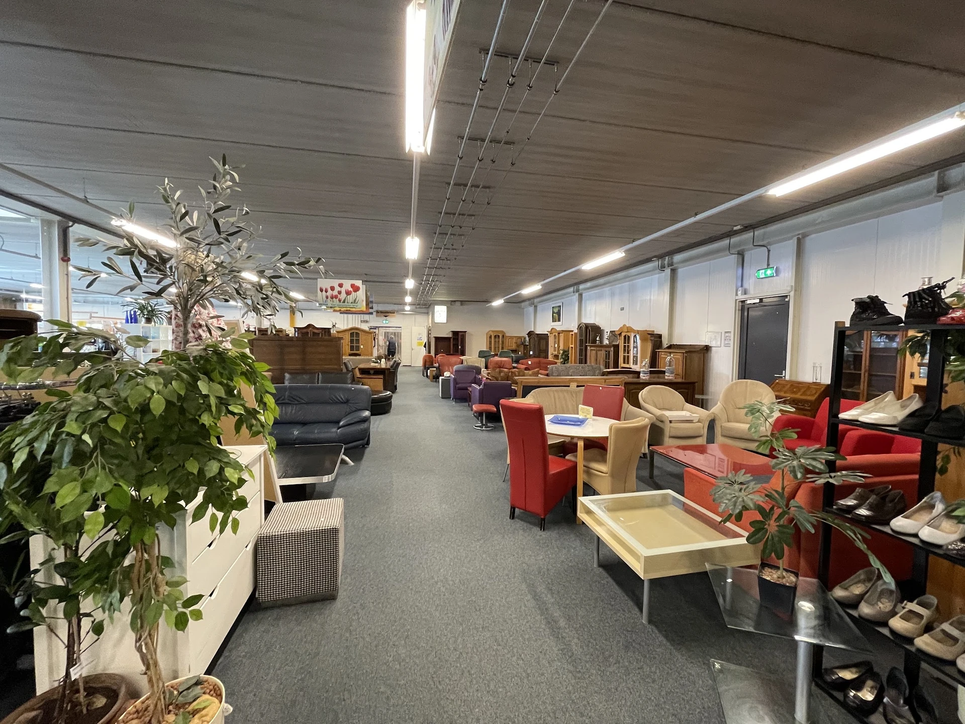 Ruim winkelbinnenland met diverse meubels, stoelen en huisraad uitgestald onder ledverlichting