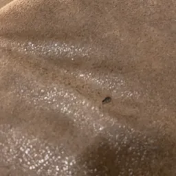 Onduidelijke close-up foto van een oppervlak met zand en vocht