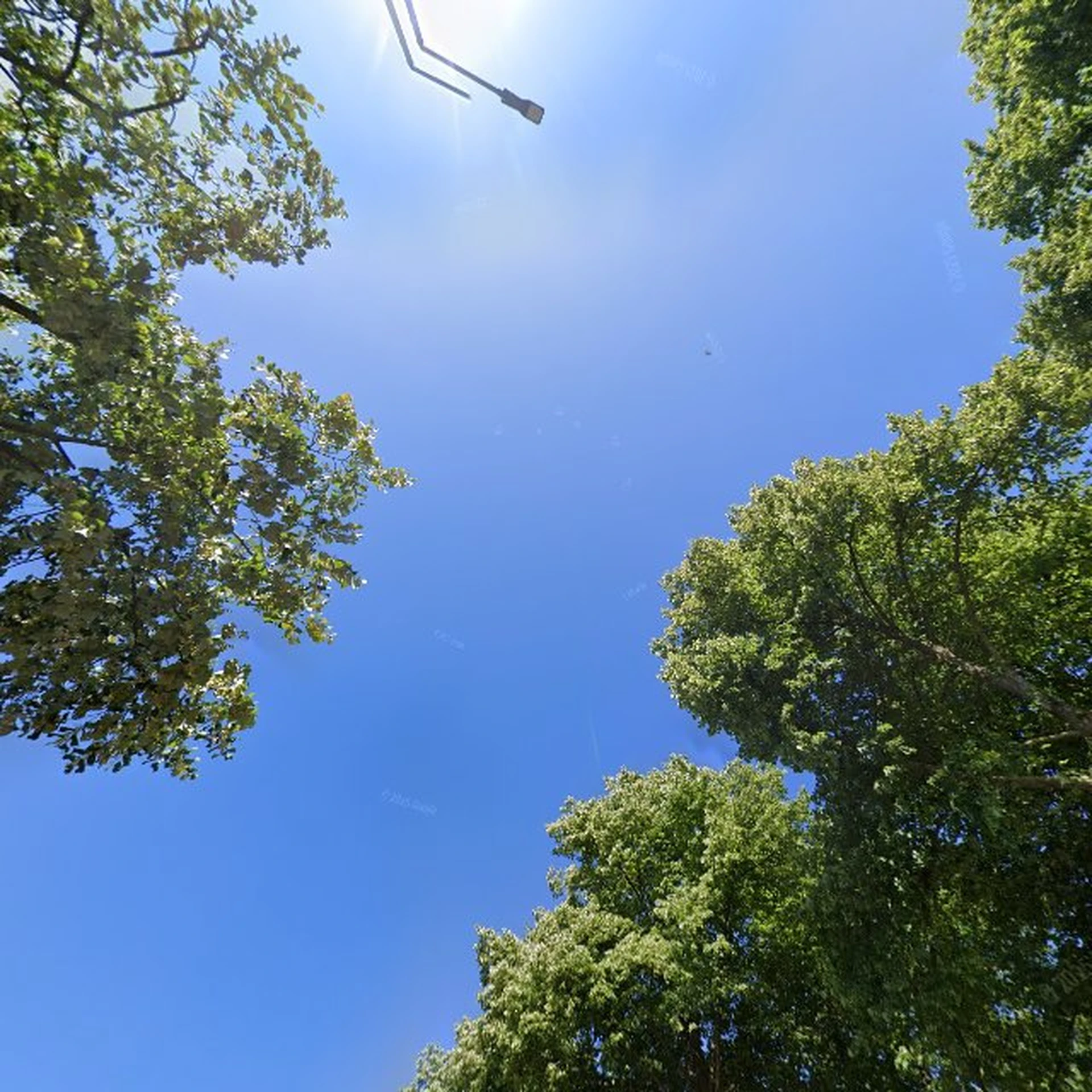 Kringloopwinkel Kringloopwinkel Wispelturig in Balkbrug