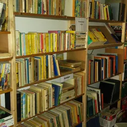 Houten stellingen vol met CD's en DVD's, gerangschikt per plank in de winkel