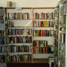 Boekenkasten met honderden tweedehands boeken in verschillende kleuren en formaten