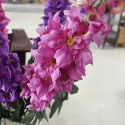 Bezoeker foto van Kringloopwinkel Woord&Daad Haarlem in Haarlem