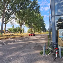 Parkeerplaats met bomen en rode auto voor winkelgebouw aan de zijkant