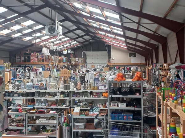 Overzicht van de winkelruimte met stellingen vol huishoudartikelen, decoratie en tweedehands spullen onder een industrieel pl