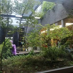 Binnentuin of courtyard met veel groen, bomen en planten tussen bakstenen gebouwen