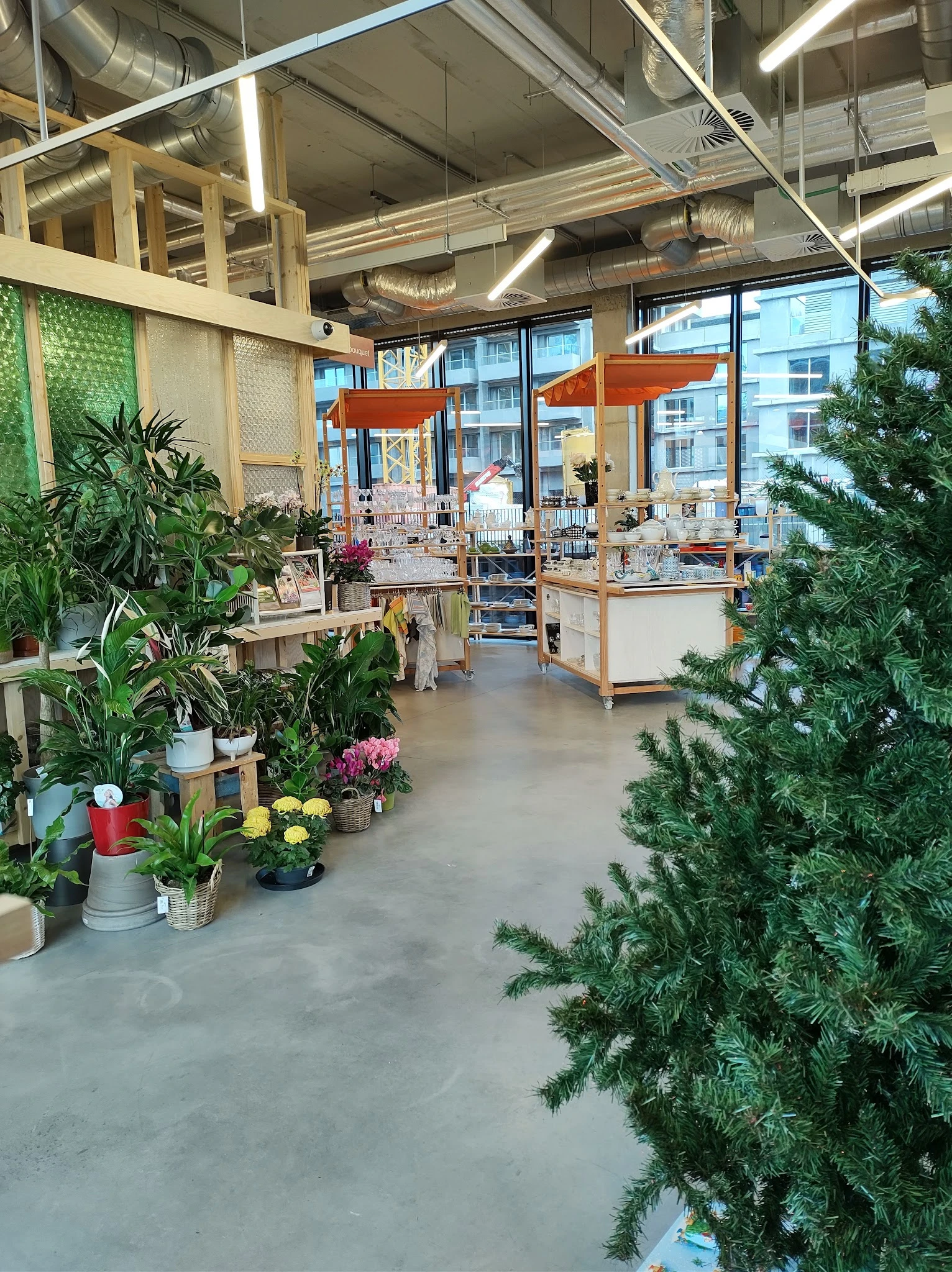 Winkelinterieur met plantencollectie, bloemen en groen langs de zijkanten, houten kastjes en grote ramen met uitzicht op stra