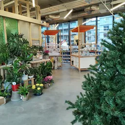 Winkelinterieur met plantencollectie, bloemen en groen langs de zijkanten, houten kastjes en grote ramen met uitzicht op stra