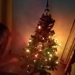 Bezoeker foto van Kringloopwinkel Kringwinkel De Cirkel Zelzate in Zelzate