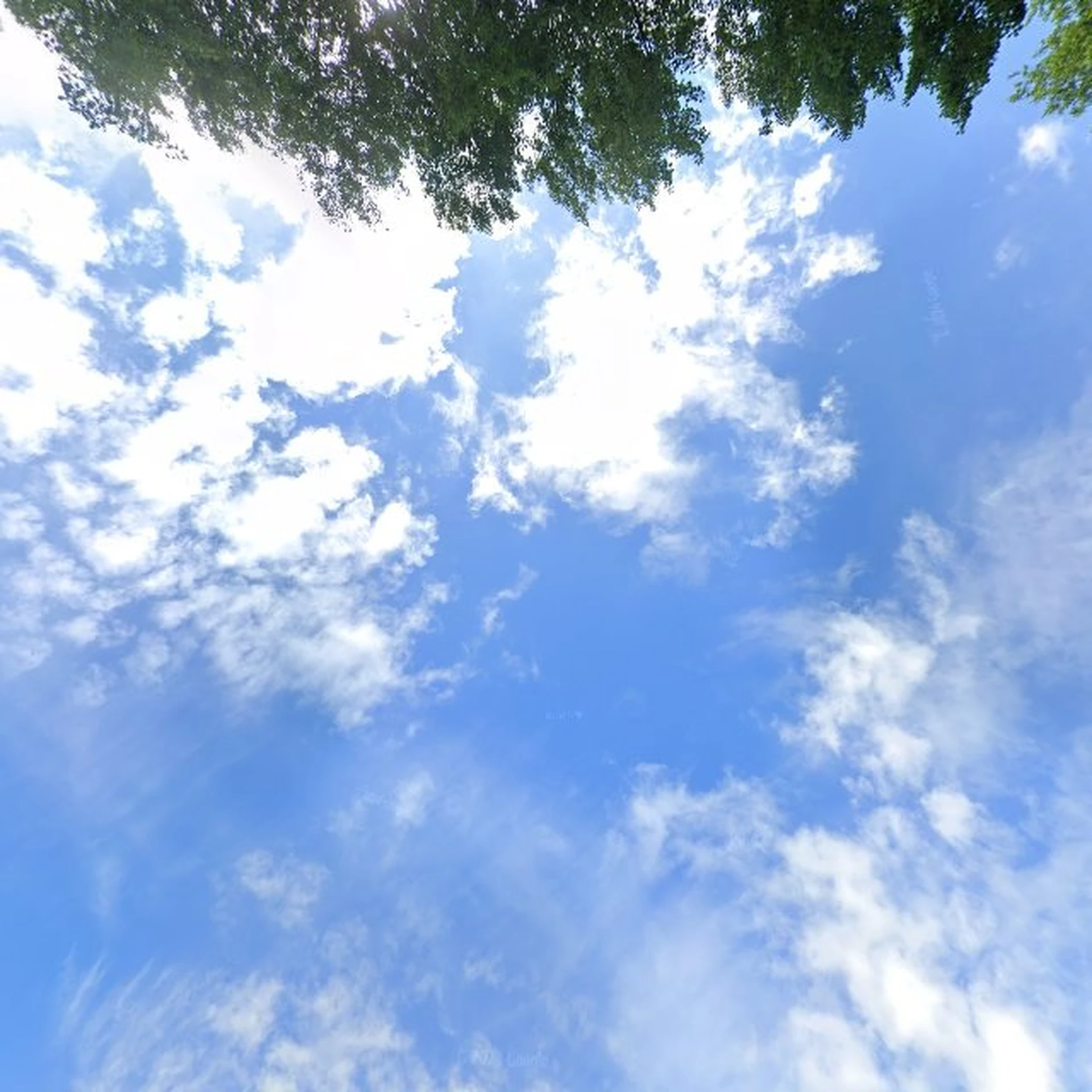 Kringloopwinkel Kringwinkel De Cirkel in Lokeren