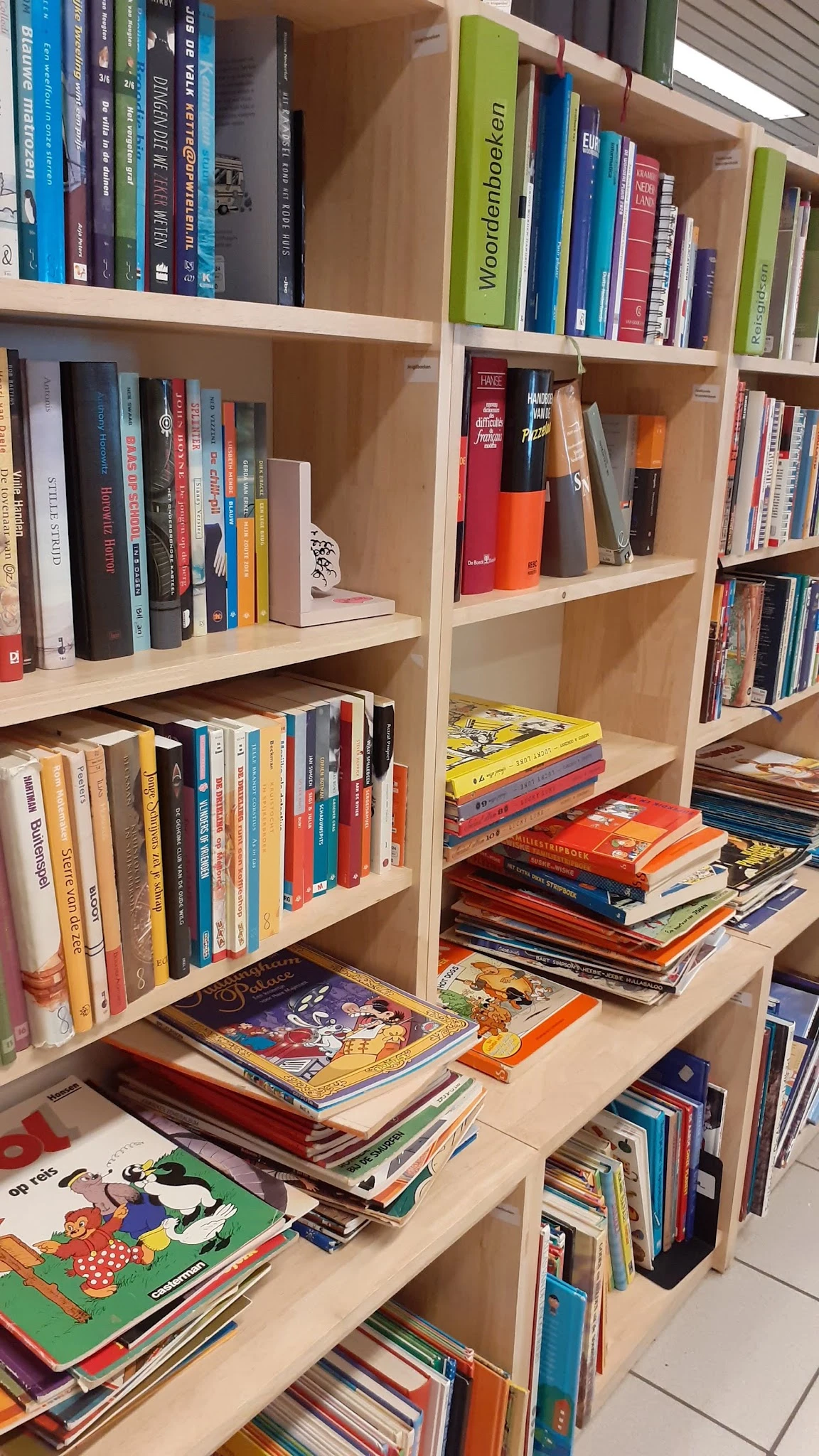Boekenkasten met tweedehands boeken, graphic novels en dvd's netjes uitgestald op houten stellingen