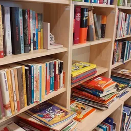 Boekenkasten met tweedehands boeken, graphic novels en dvd's netjes uitgestald op houten stellingen