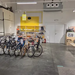 Verzameling tweedehands fietsen in diverse kleuren uitgestald in de winkelruimte