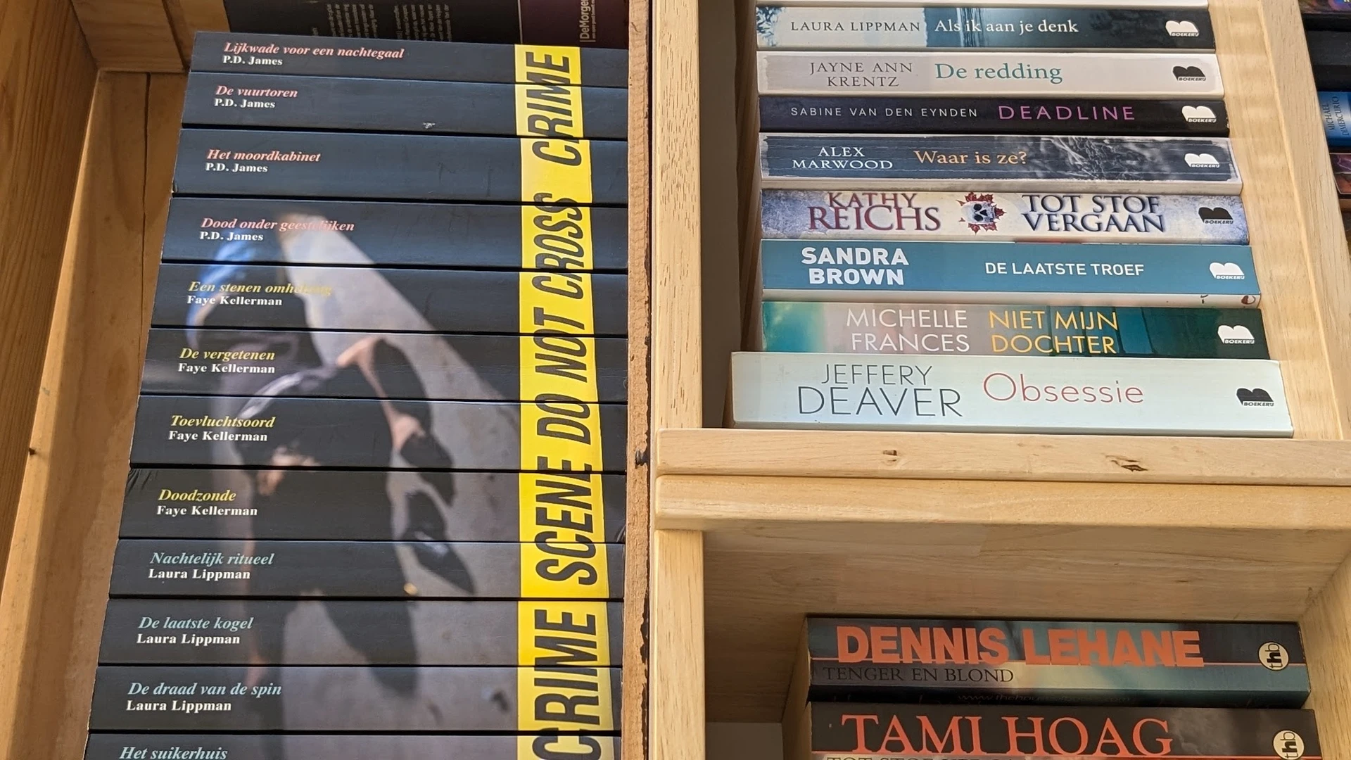 Boekenrekken met tweedehands boeken, waaronder Nederlandse titels en auteurs als P.D. James en Laura Lippman