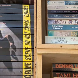 Boekenrekken met tweedehands boeken, waaronder Nederlandse titels en auteurs als P.D. James en Laura Lippman