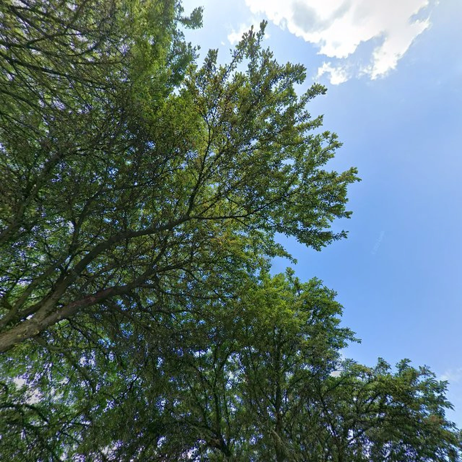 Kringloopwinkel Kringloopwinkel Kringwinkel Hebbes in Hendrik-Ido-Ambacht