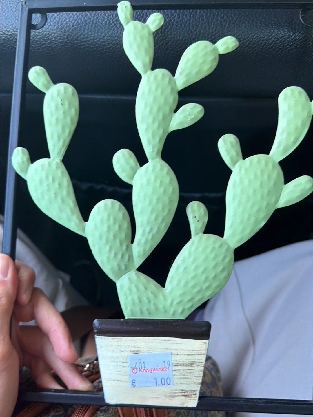 Close-up van een groene cactus met paddenstoelvormige segmenten tegen donkere achtergrond