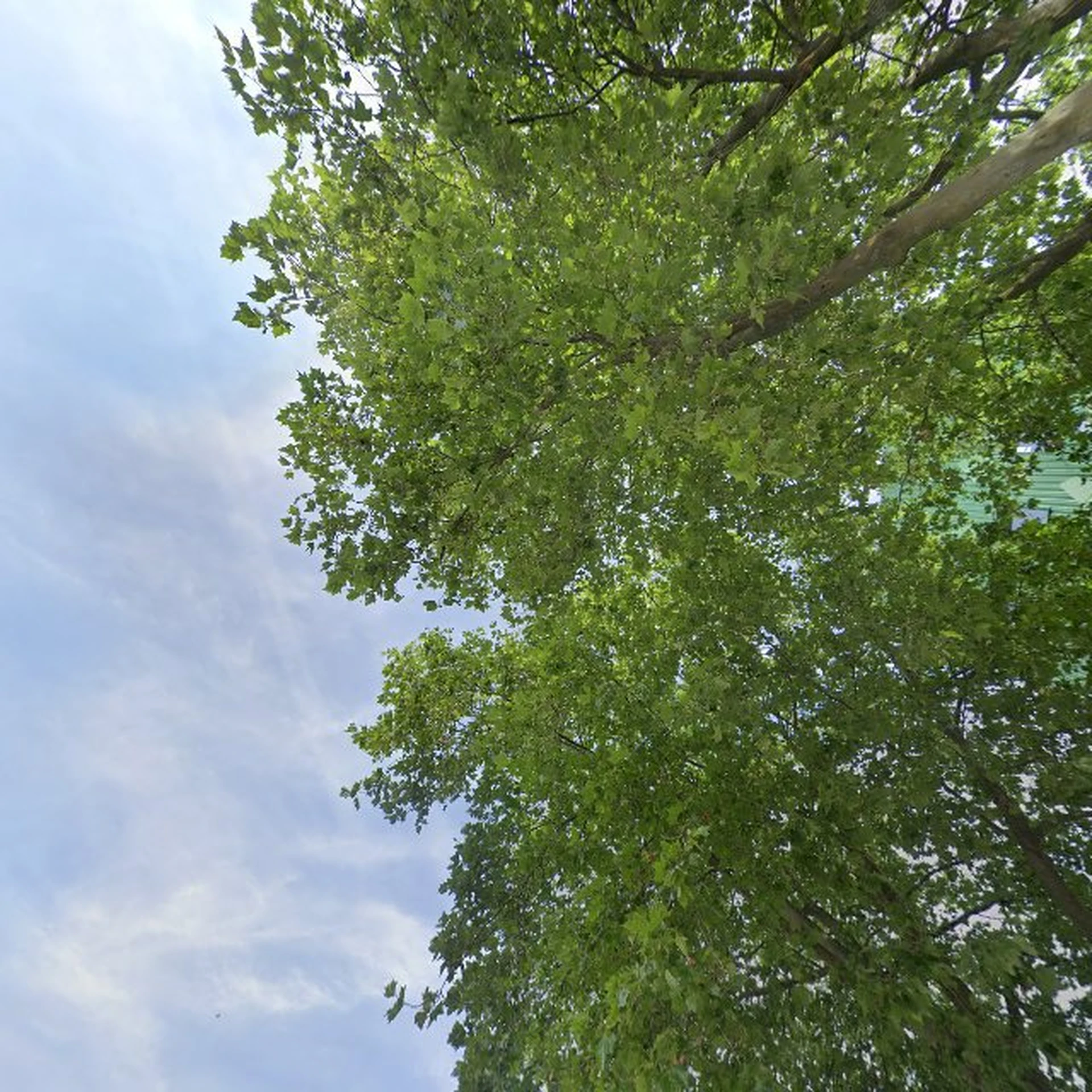 Kringloopwinkel Kringwinkel Melsele in Beveren-Kruibeke-Zwijndrecht