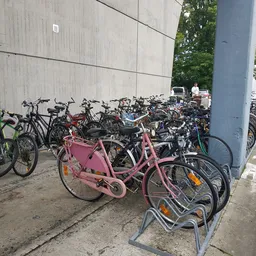 Verzameling tweedehands fietsen buiten tegen een betonnen wand, waaronder roze damesfiets op de voorgrond