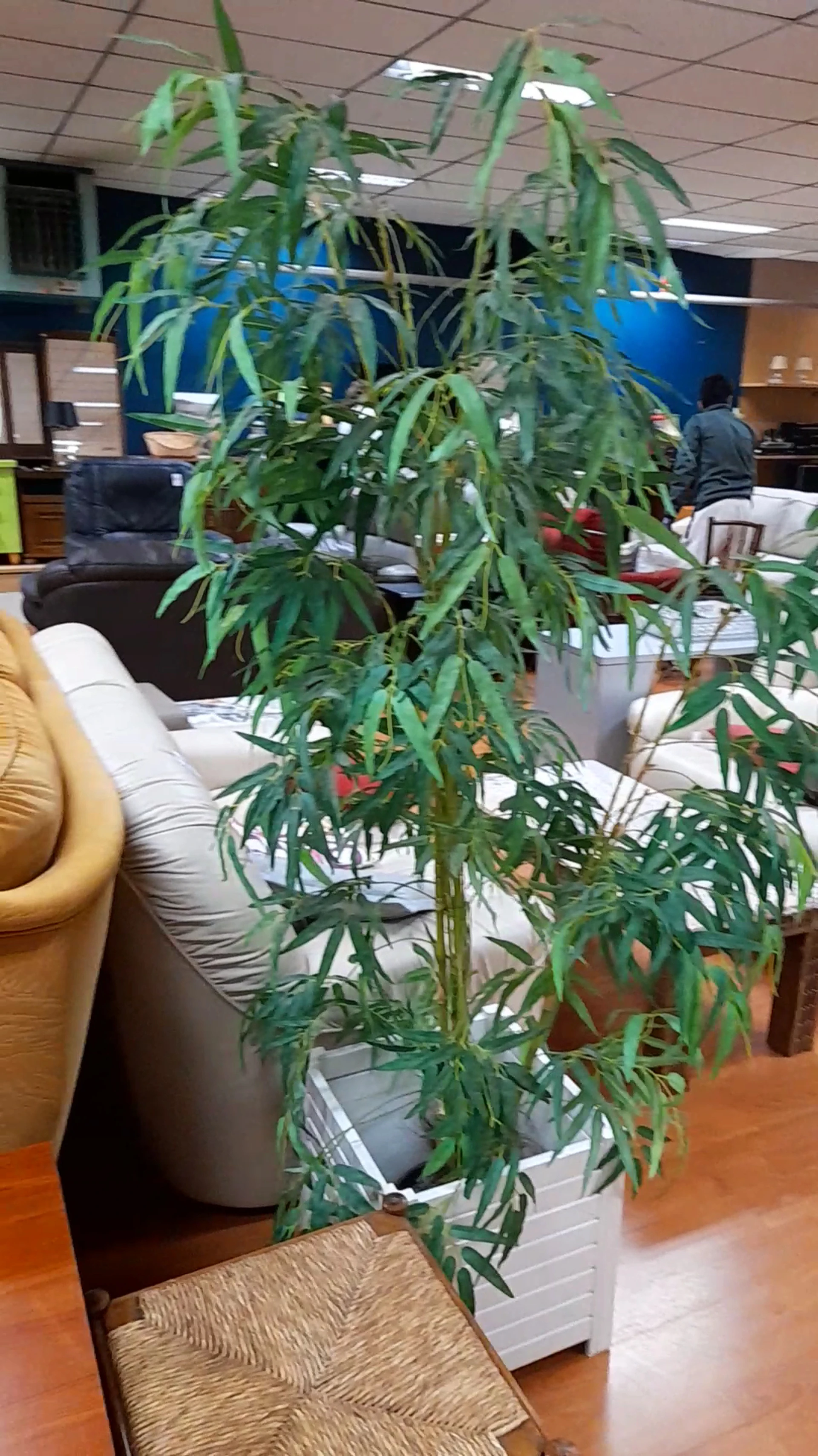 Kringloopwinkel Kringwinkel Middelkerke in Middelkerke