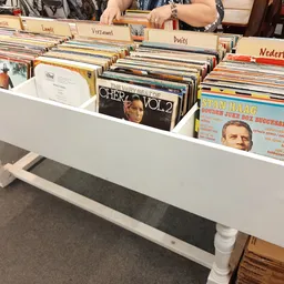 Witte bak met gesorteerde LP's en vinyl records, onderverdeeld in categorieën met labeltabs