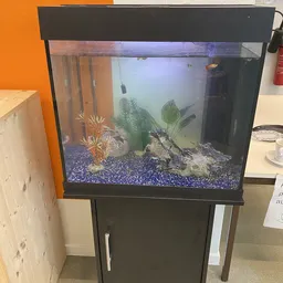 Aquarium met blauwe grind, planten en decoratie op een zwarte standaard