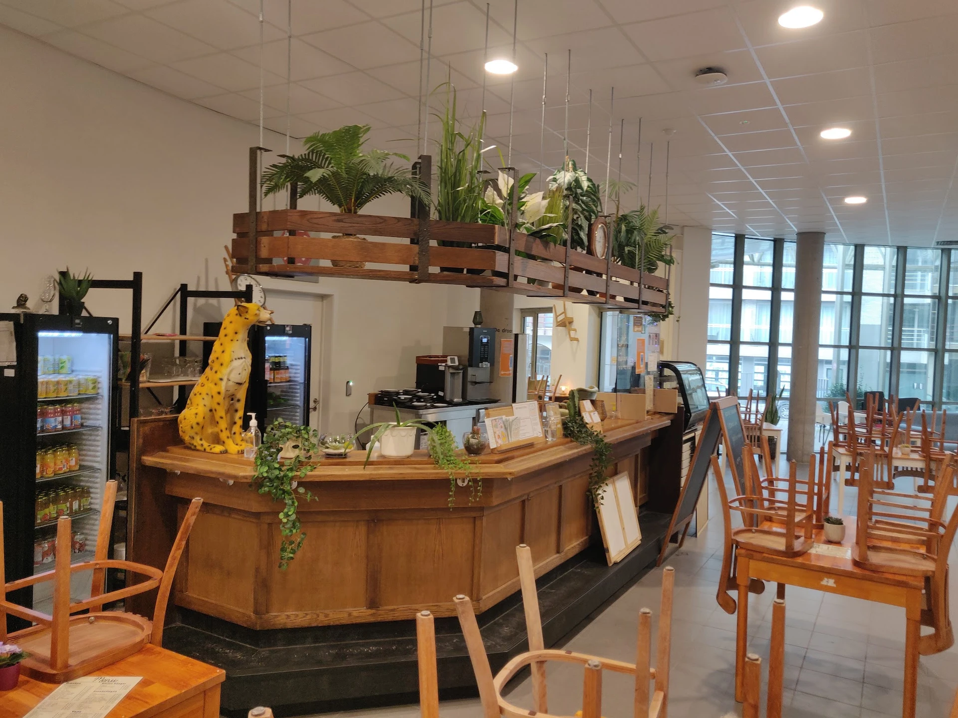 Houten baliebalie met hangplanten en gele decoratie, stoelen aan tafels in lunchruimte