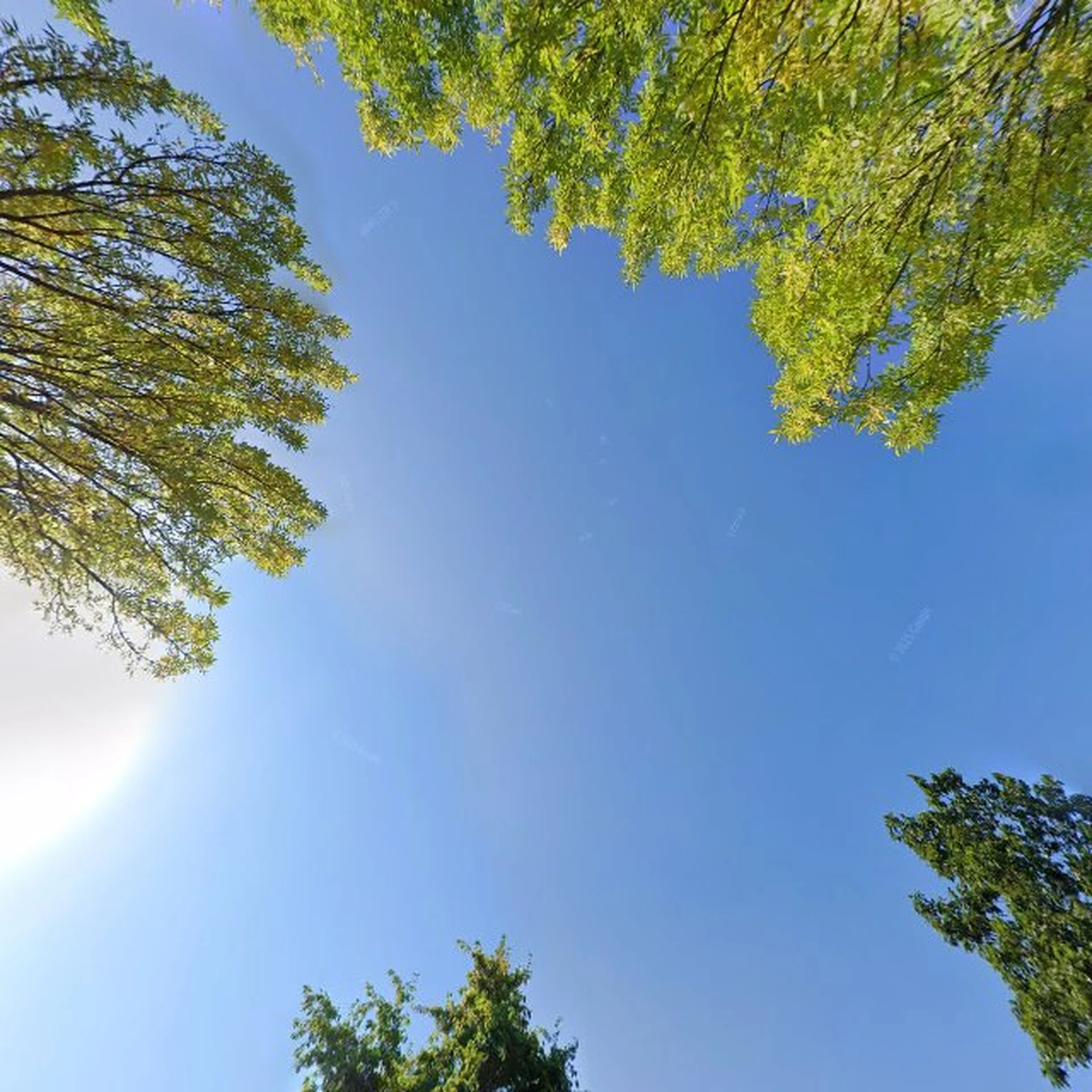 Kringloopwinkel Kringwinkel Turnhout in Turnhout