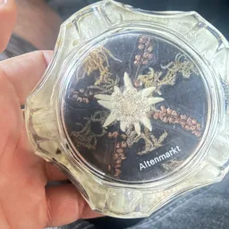Close-up van een petridishculture met schimmelgroei en het opschrift 'Altemarkt'