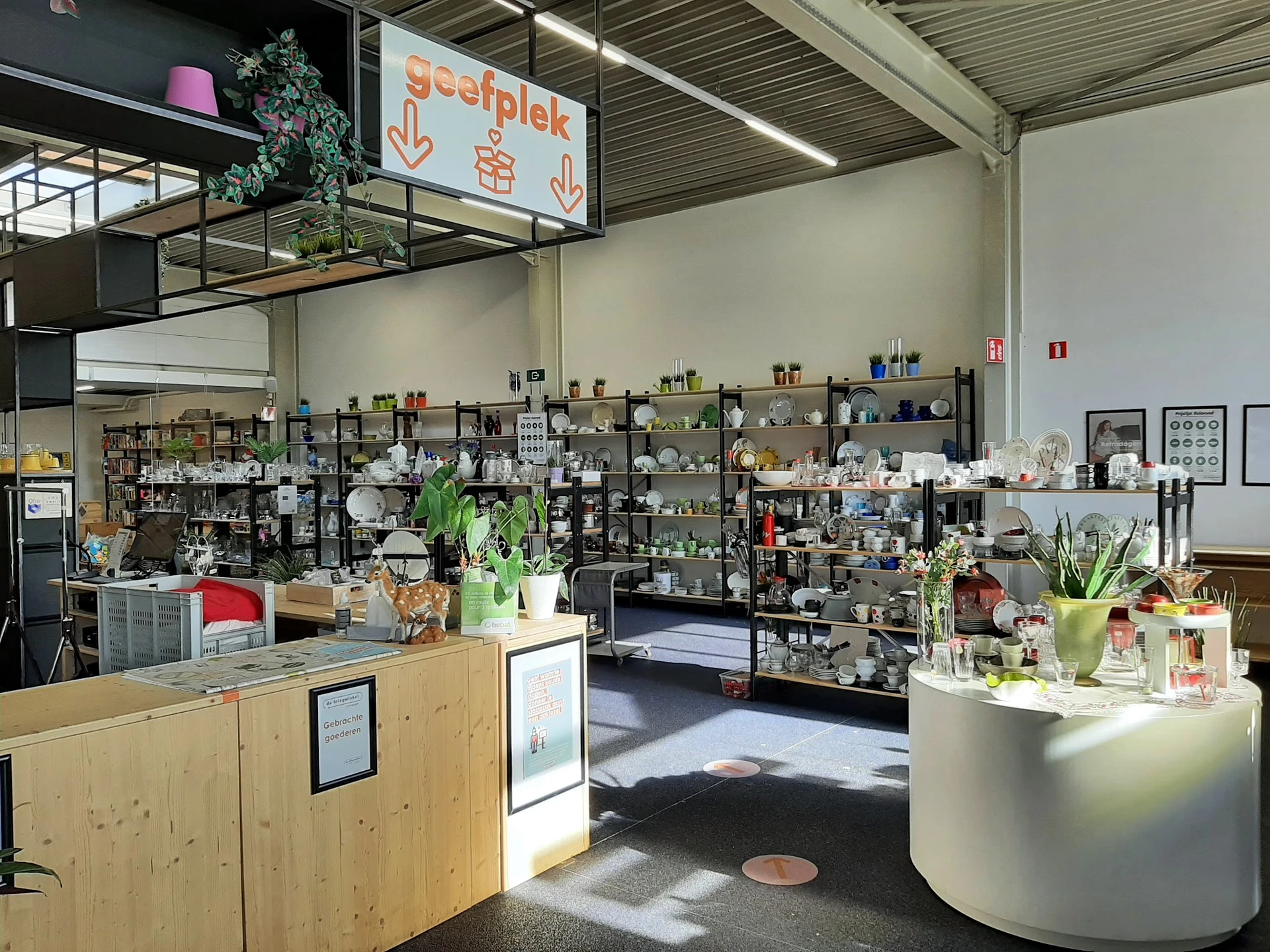 Overzicht van de winkelruimte met stellingen met diverse items, toonbank vooraan en verlichte displays met spullen