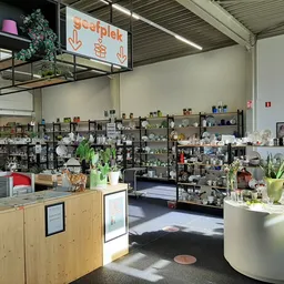 Overzicht van de winkelruimte met stellingen met diverse items, toonbank vooraan en verlichte displays met spullen