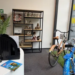 Winkelinterieur met zwart rek vol decoratieve items, fietsen op grijze vloer en groene plant links